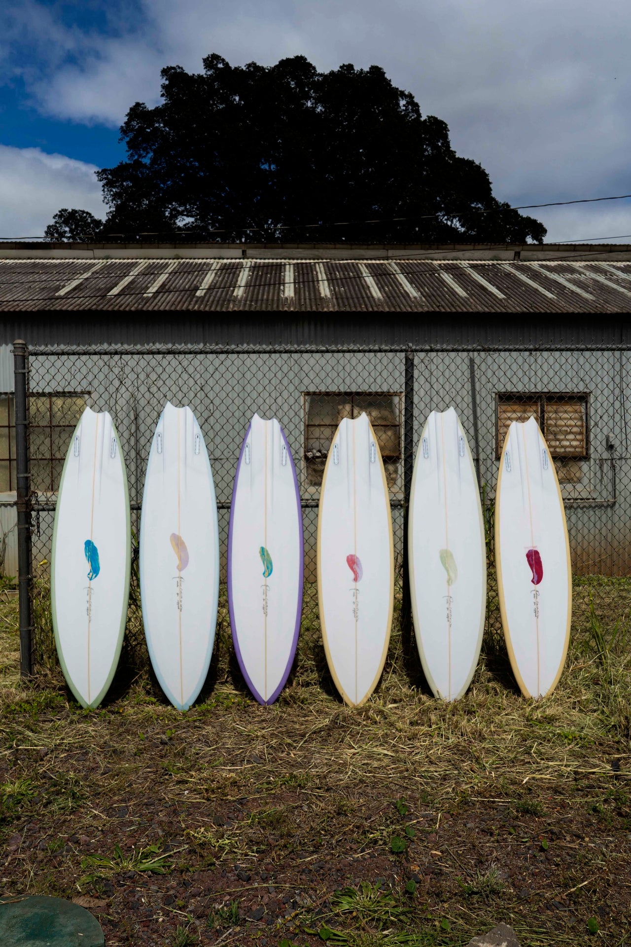 SURFBOARDS | Waialua Surf Shop